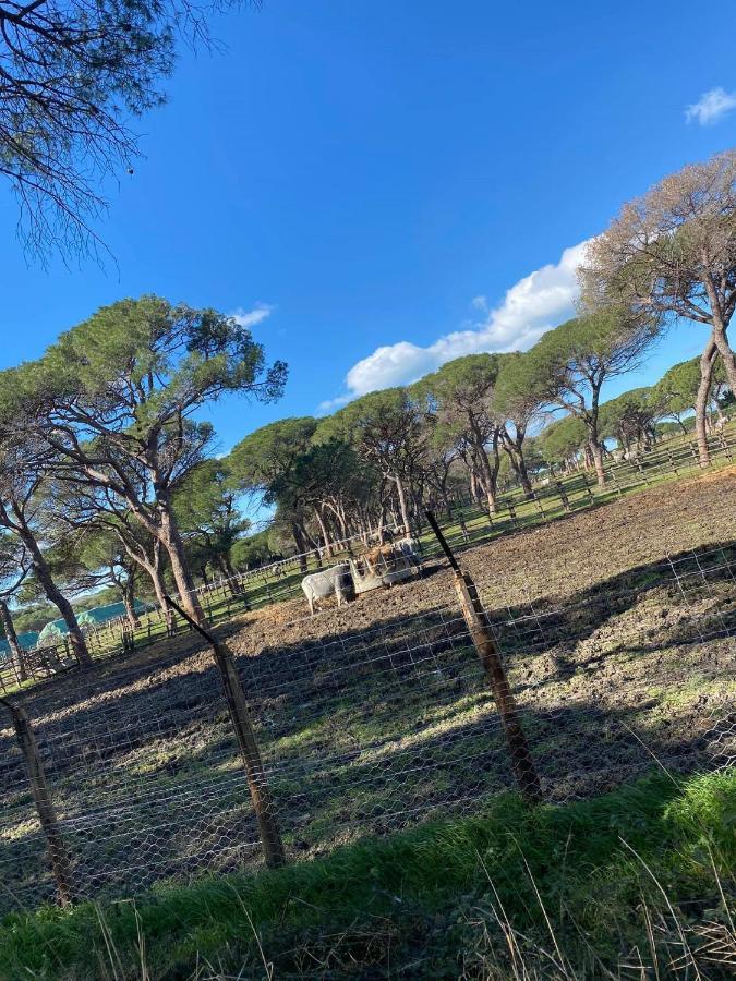 Beautiful Apartment With Exclusive Garden And Terrace Monteverdi Marittimo Bagian luar foto
